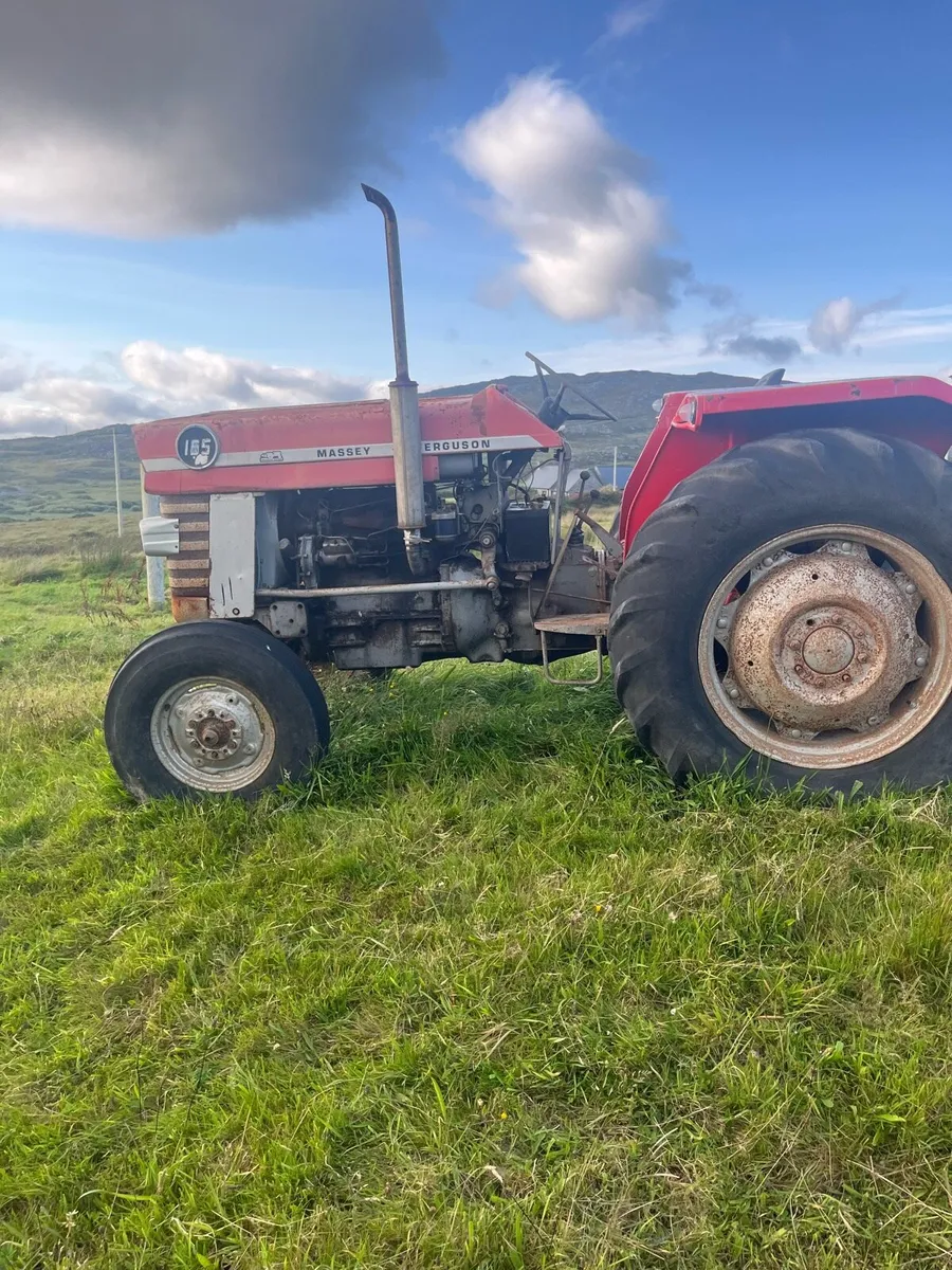 Massey Ferguson 165 - Image 3