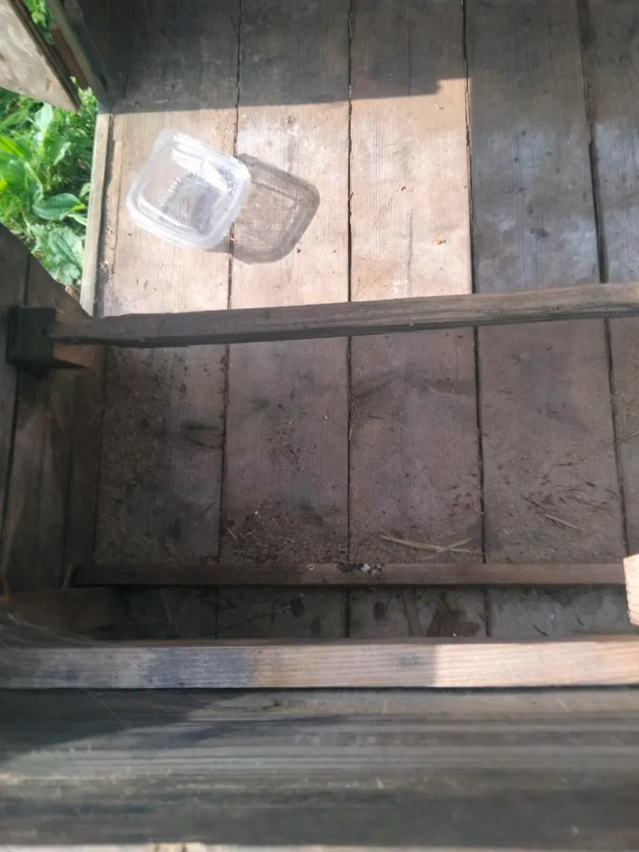 Chicken coop - Image 1