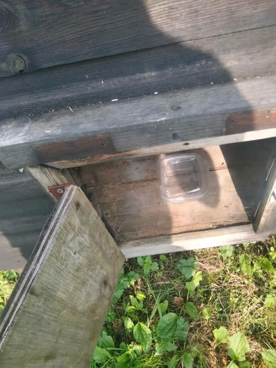 Chicken coop - Image 2