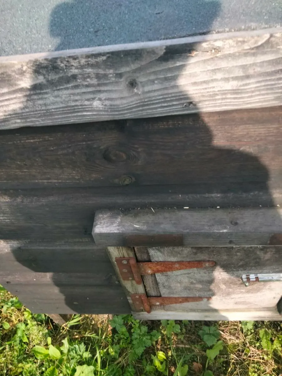 Chicken coop - Image 4