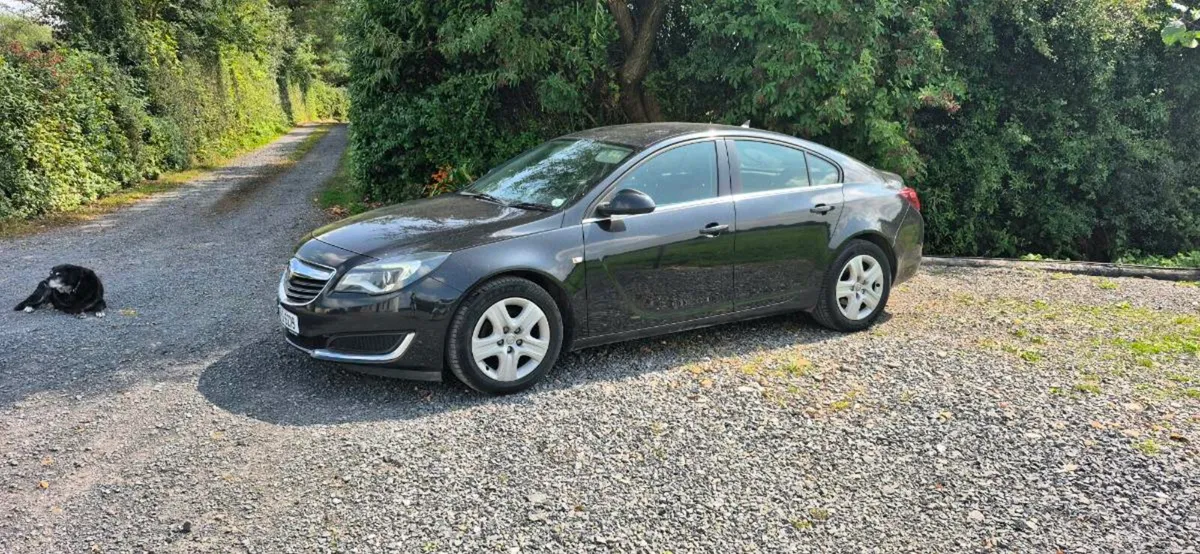 Vauxhall Insignia - Image 1
