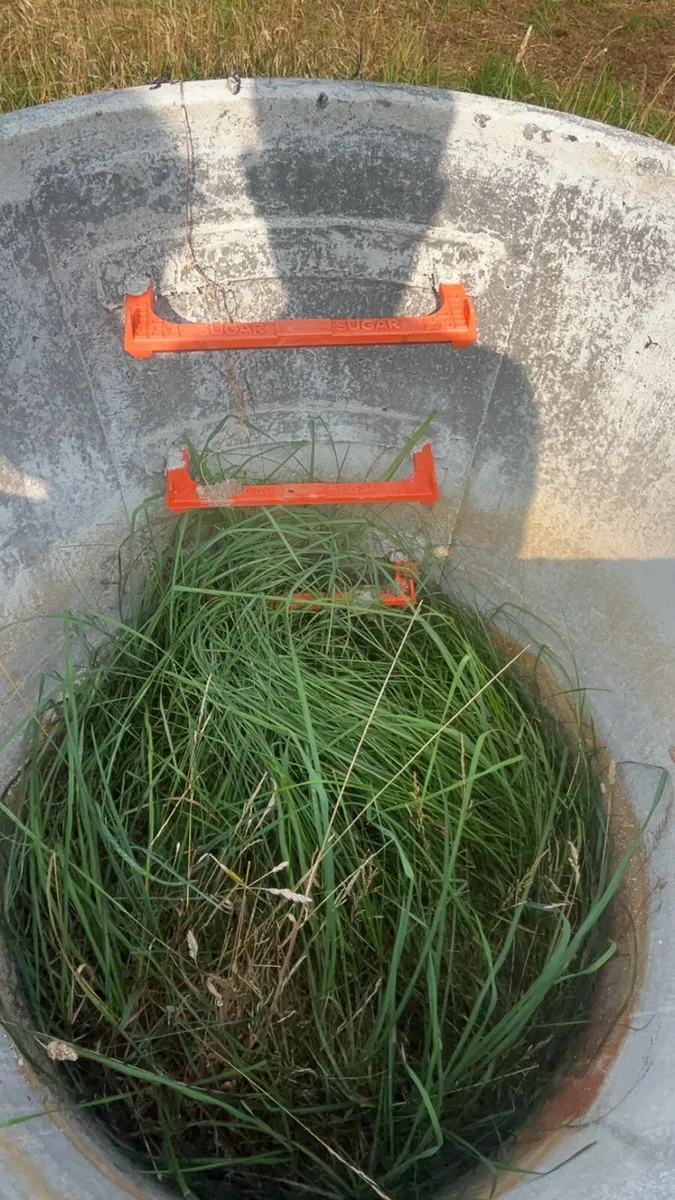 Rings for septic tank - Image 3