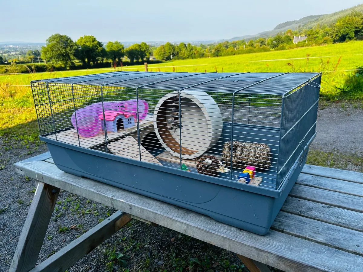 Large Cage for Hamster / Guinea Pig - Image 1