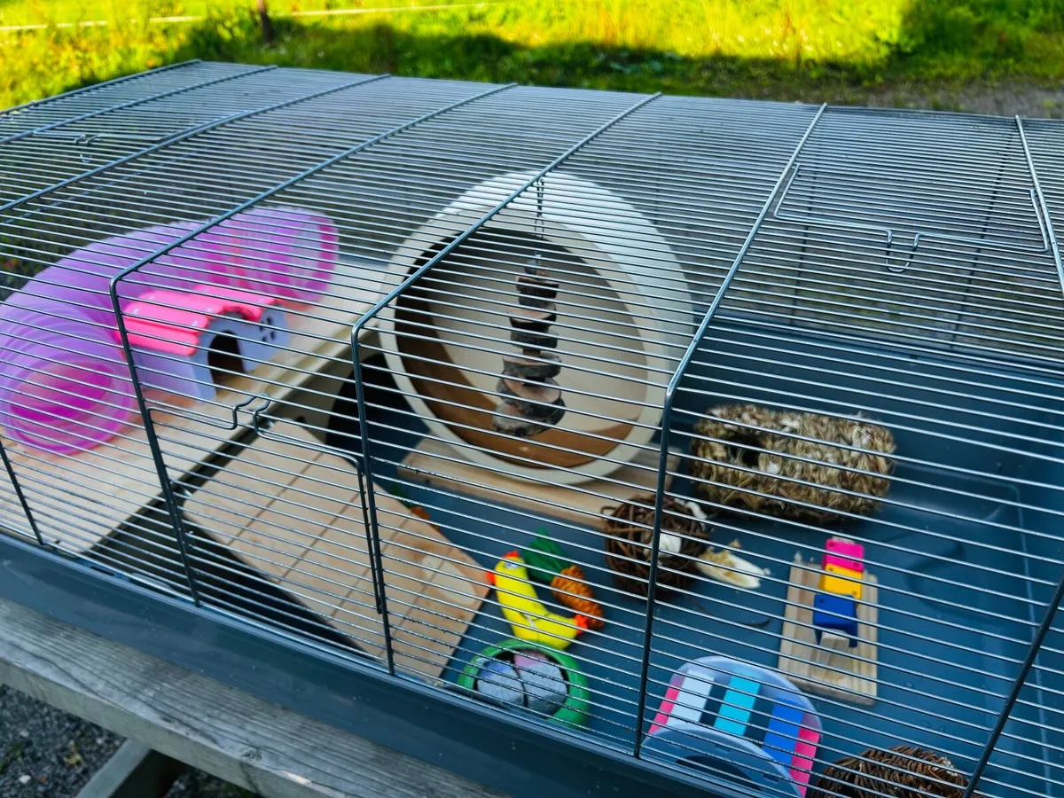 Large Cage for Hamster / Guinea Pig - Image 3
