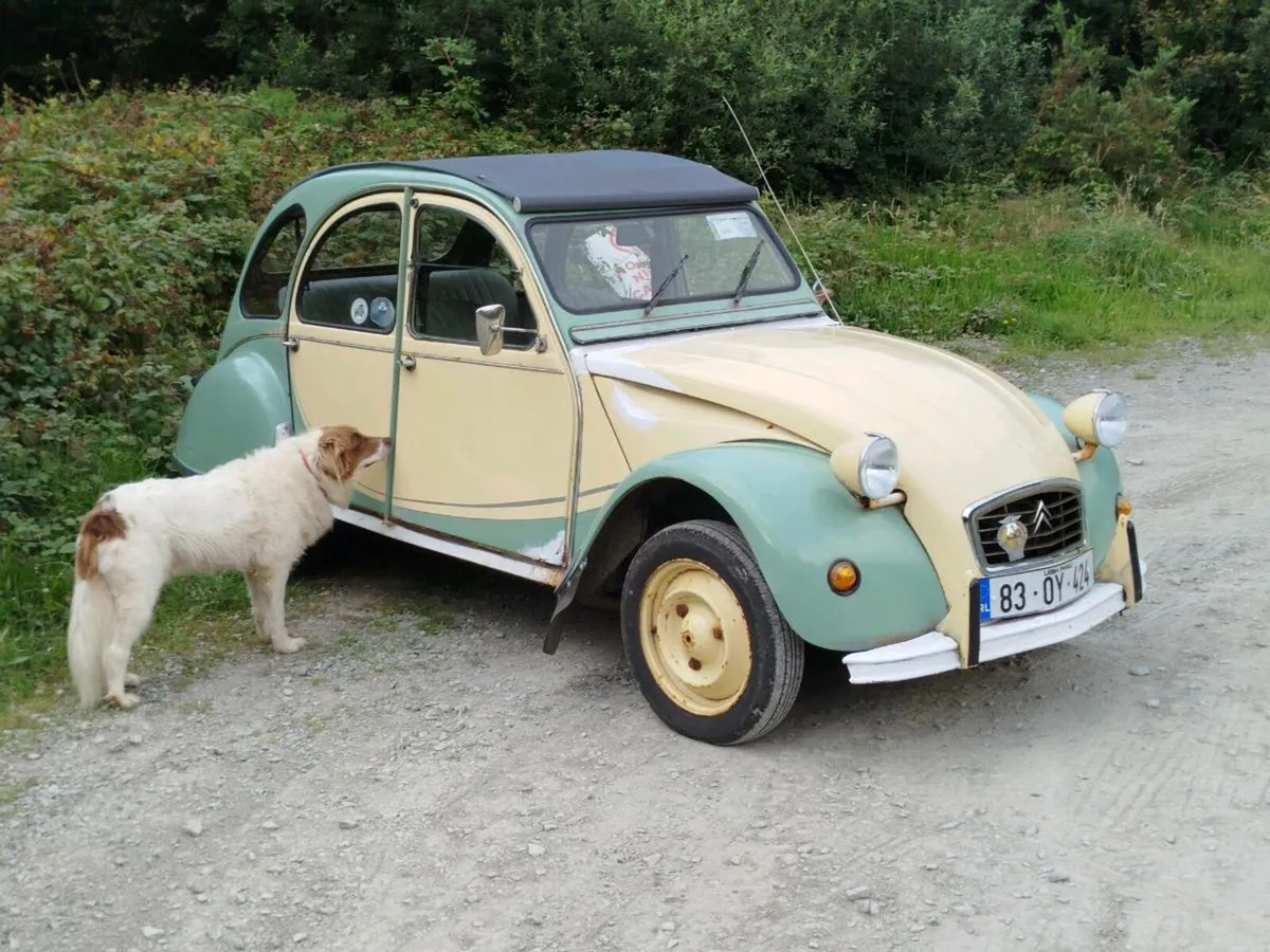 Citroen 2CV - Image 3