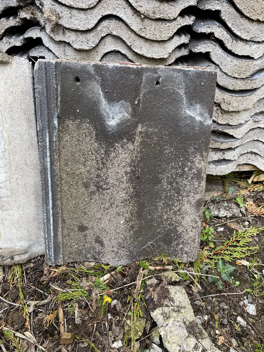Roof tiles - Image 2