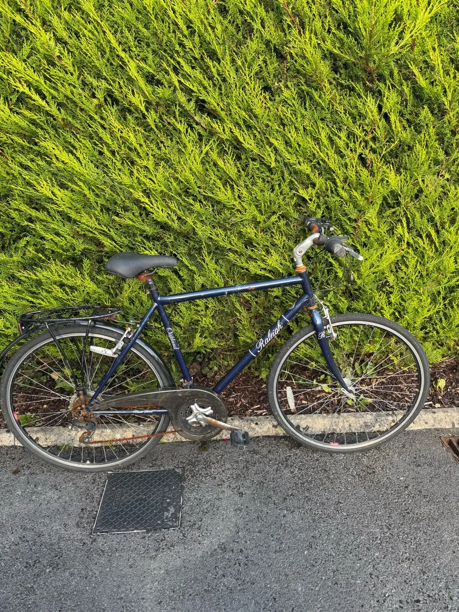 Gents bike Raleigh