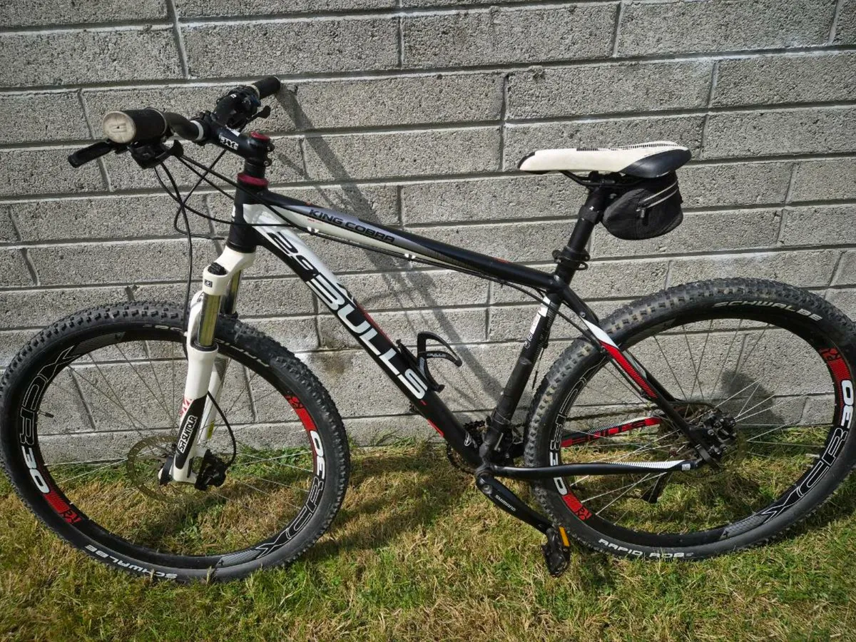 Mountain bike - Image 1