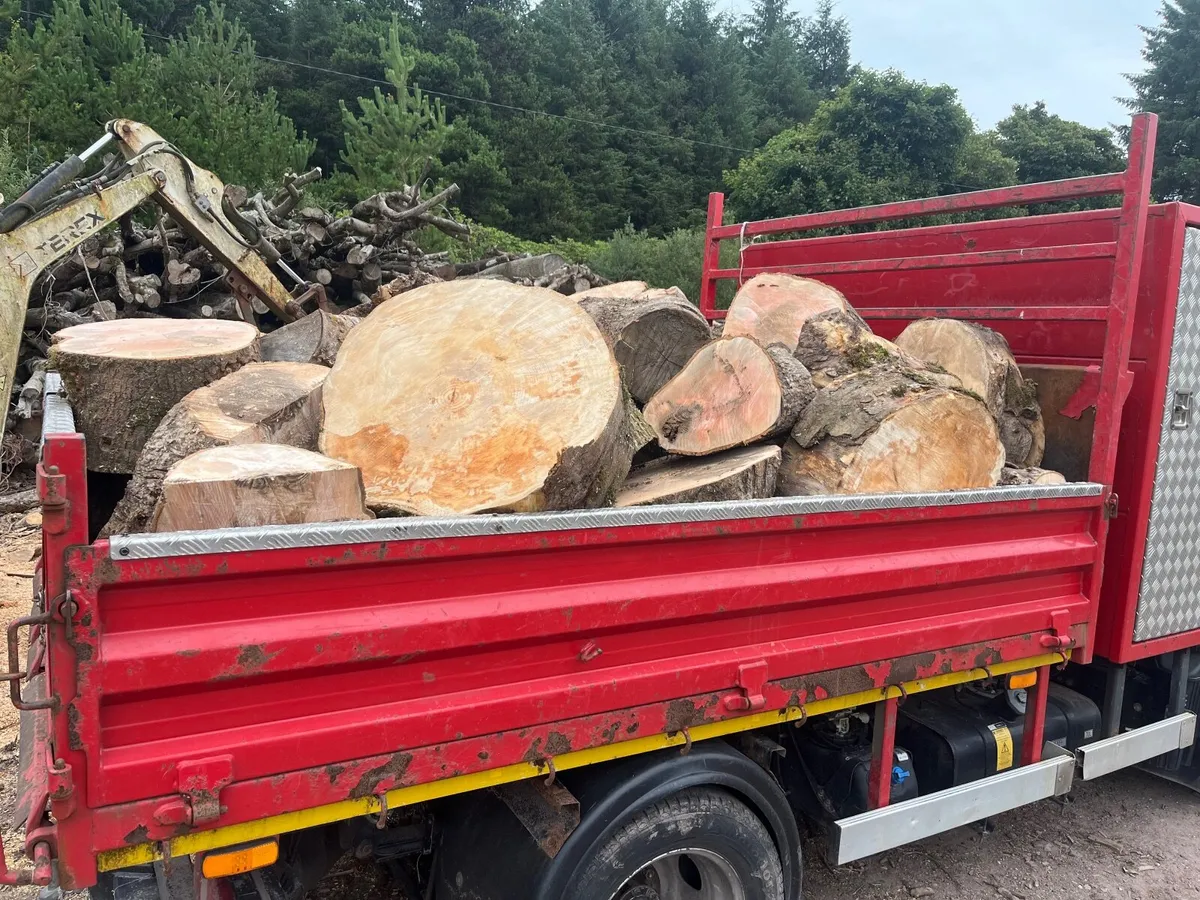 Firewood - Image 3