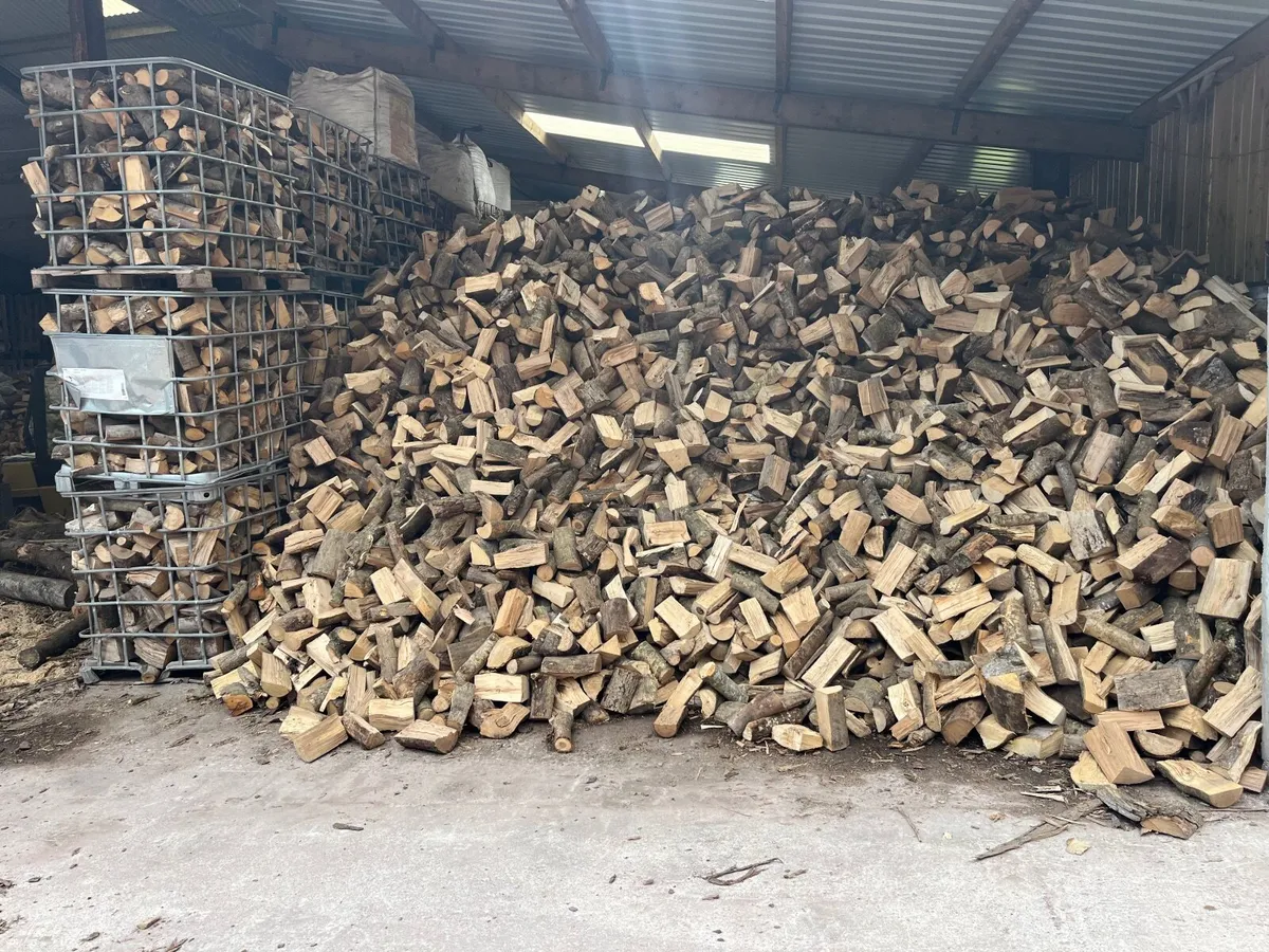 Firewood - Image 2