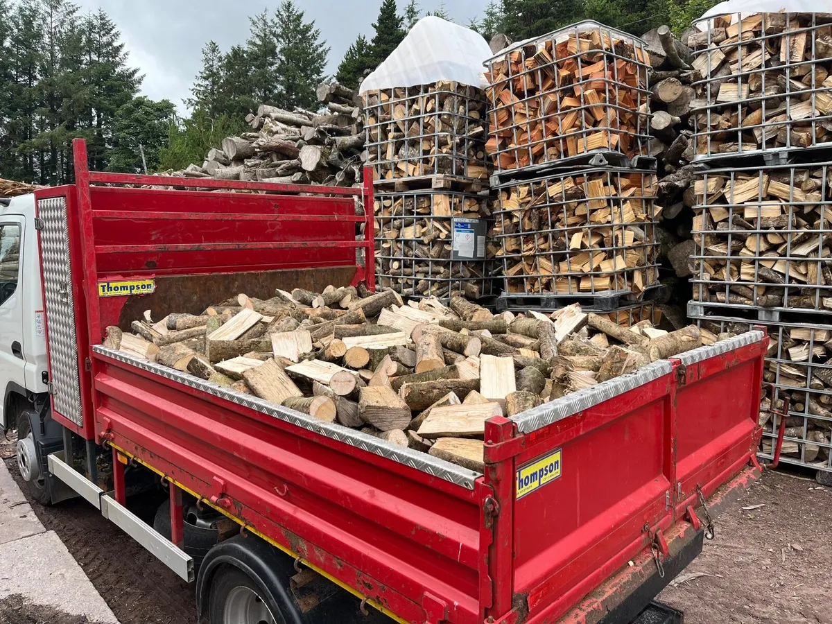 Firewood - Image 4