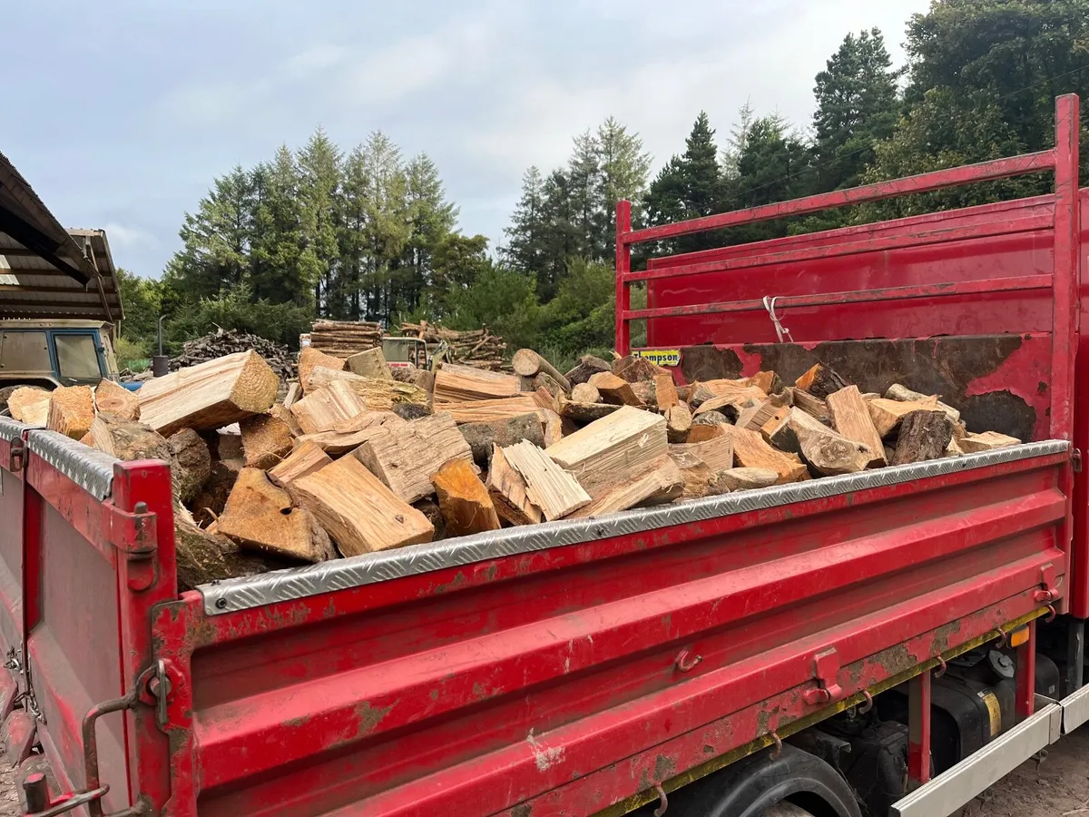 Firewood - Image 1