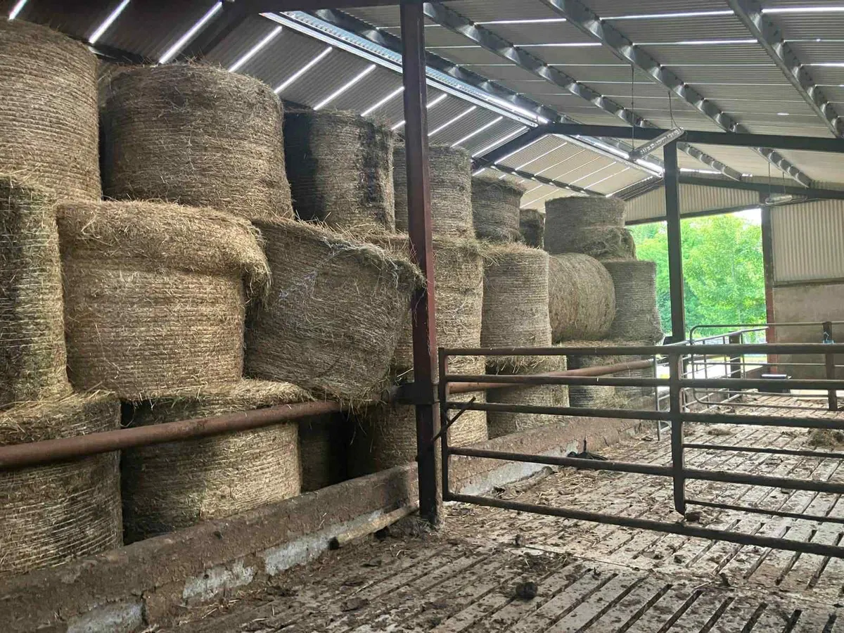 Hay bales - Image 2