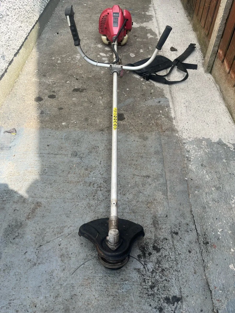 Strimmer - Image 1