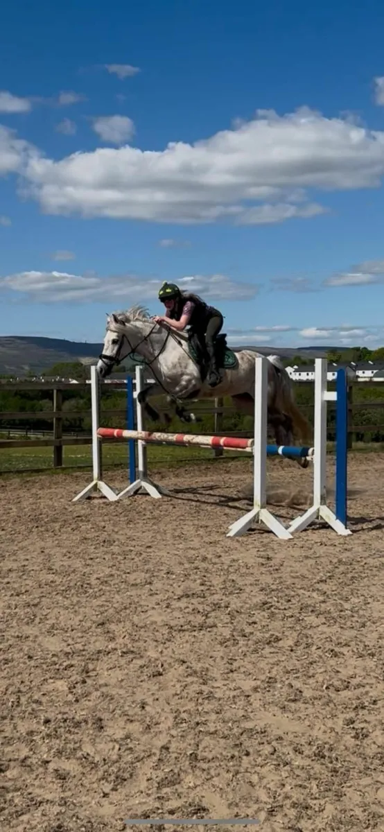 Pony - Image 4