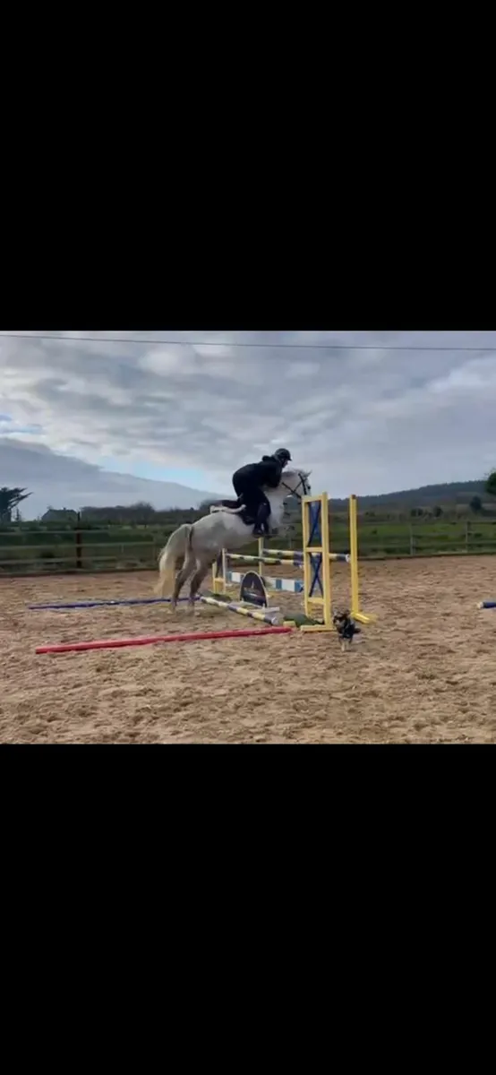 Pony - Image 2