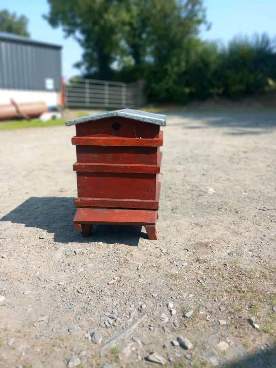 Beehive - Image 1