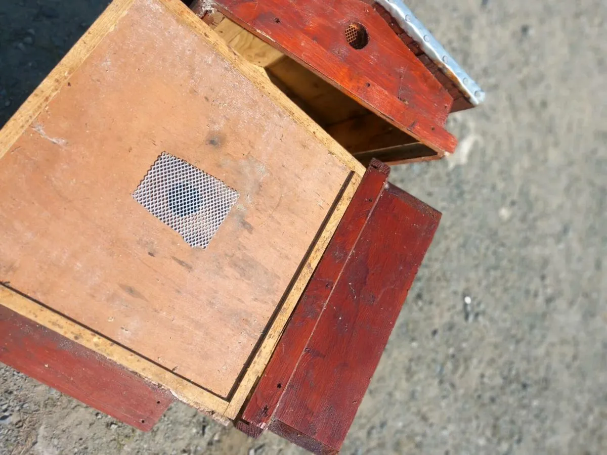 Beehive - Image 2