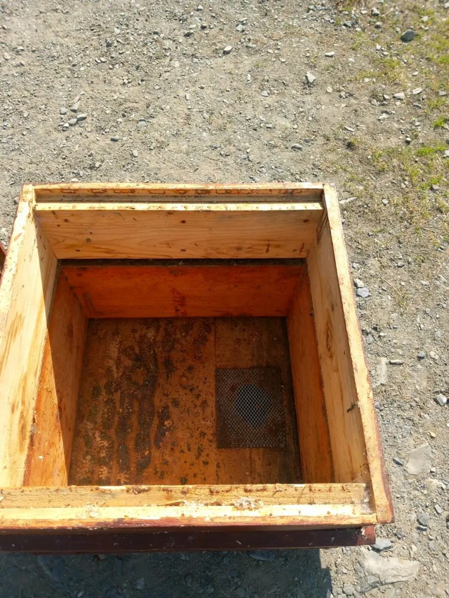 Beehive - Image 4