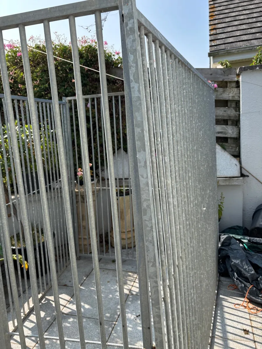 Dog Run - Image 1