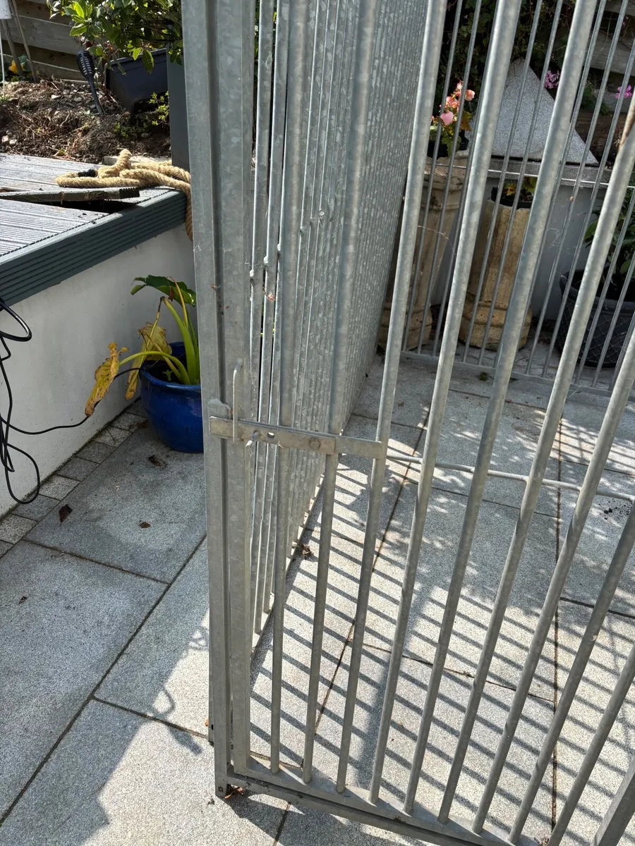 Dog Run - Image 2