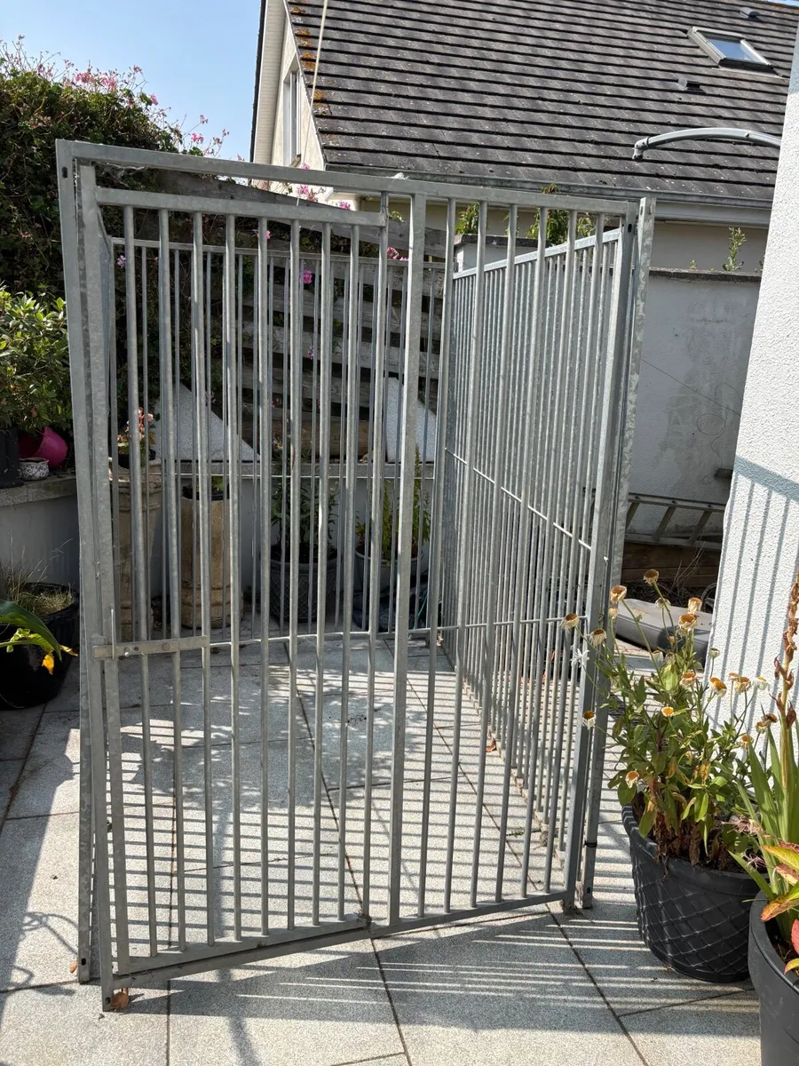 Dog Run - Image 3