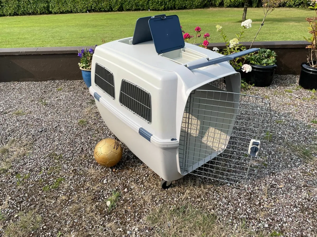 Large Pet Transporter - Image 1