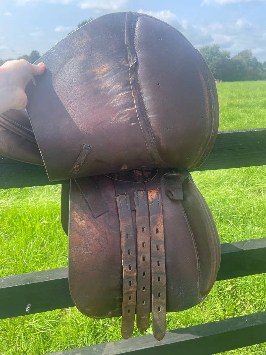 Tack for sale - Image 2