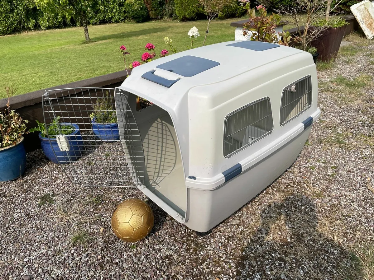Large Pet Transporter - Image 3
