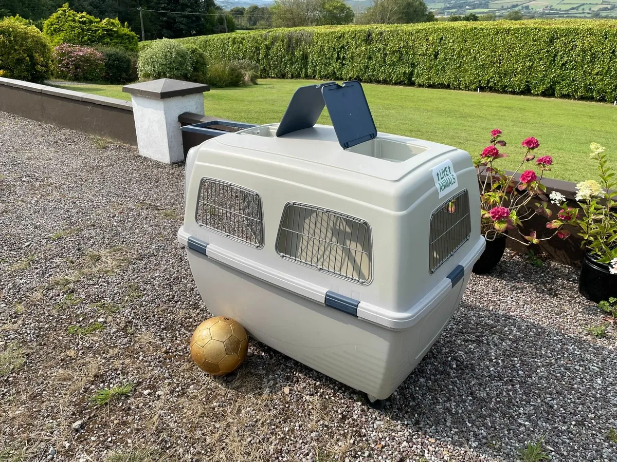 Large Pet Transporter - Image 4