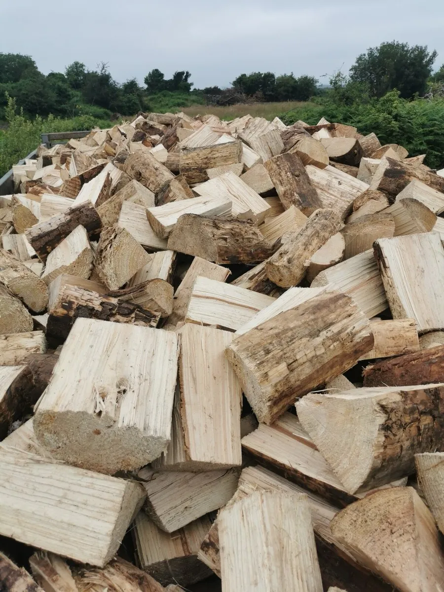Kiln Dried Firewood - Image 3