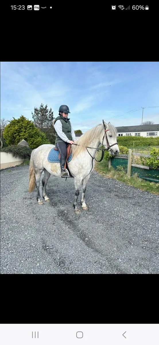 Connemara - Image 1