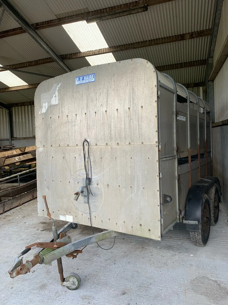 Cattle trailer - Image 2