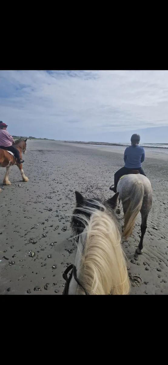 Connemara - Image 4