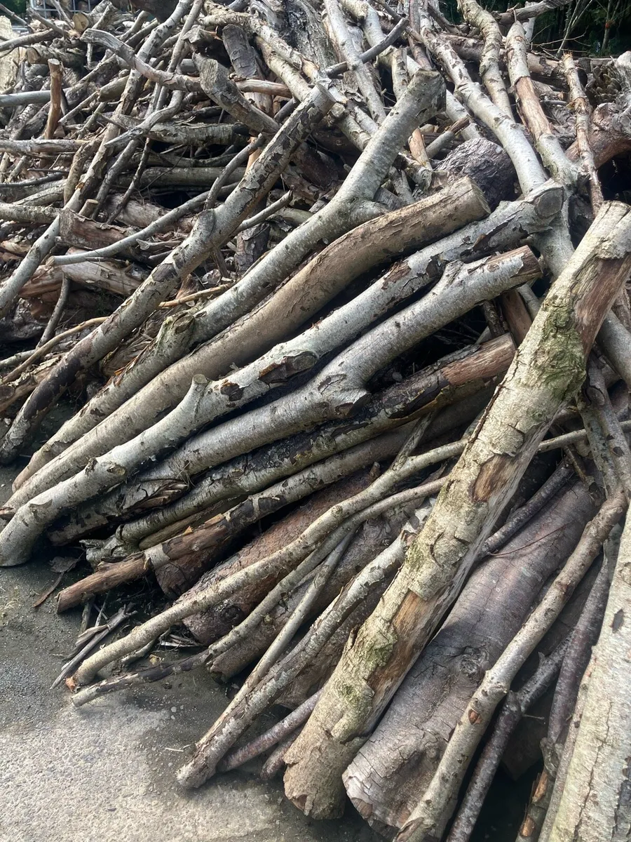 Seasoned Hardwood firewood - Image 1