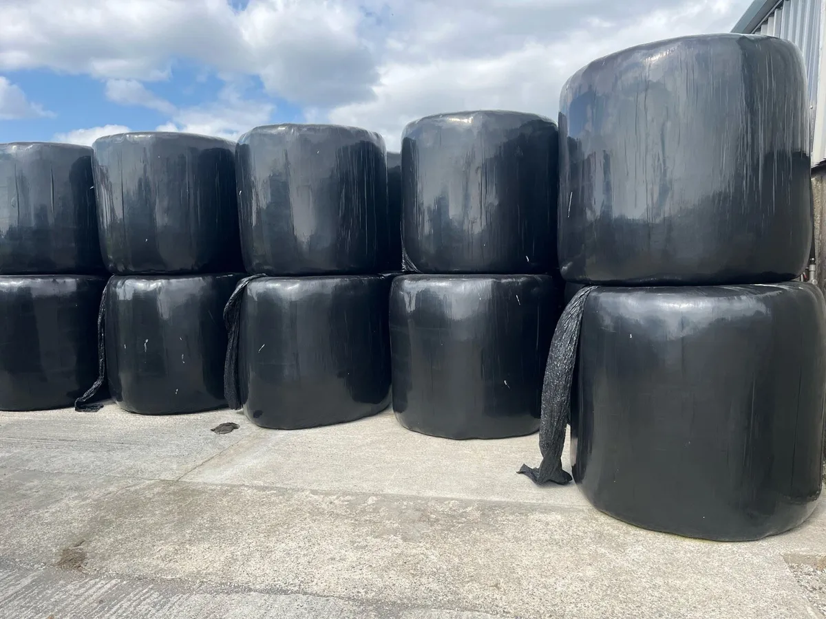 Silage - Image 1