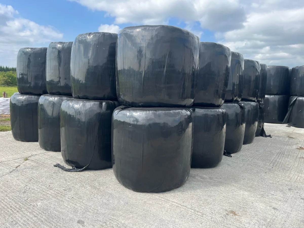 Silage - Image 3