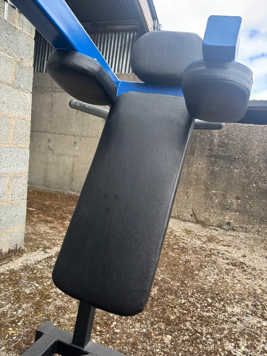 Pendulum Squat - Image 2