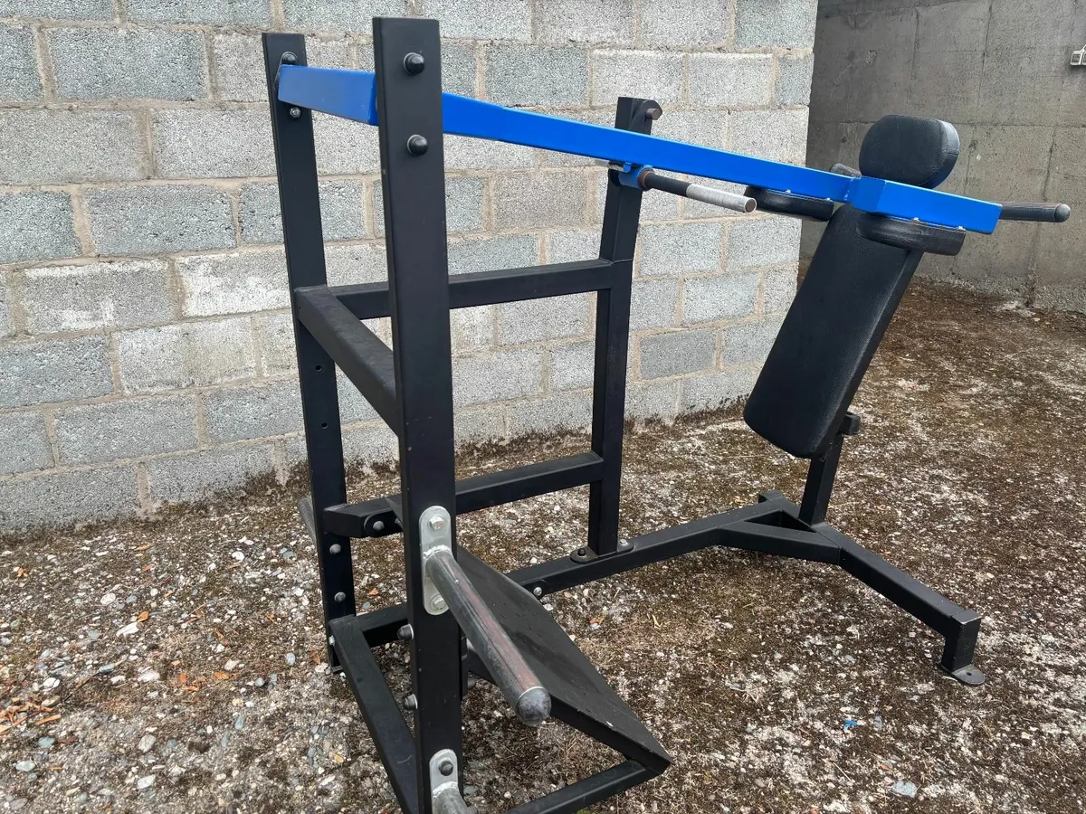 Pendulum Squat - Image 3