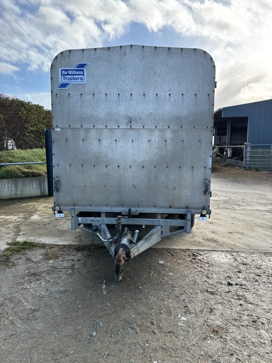 Ifor Williams 12 x 6’6 cattle trailer - Image 2