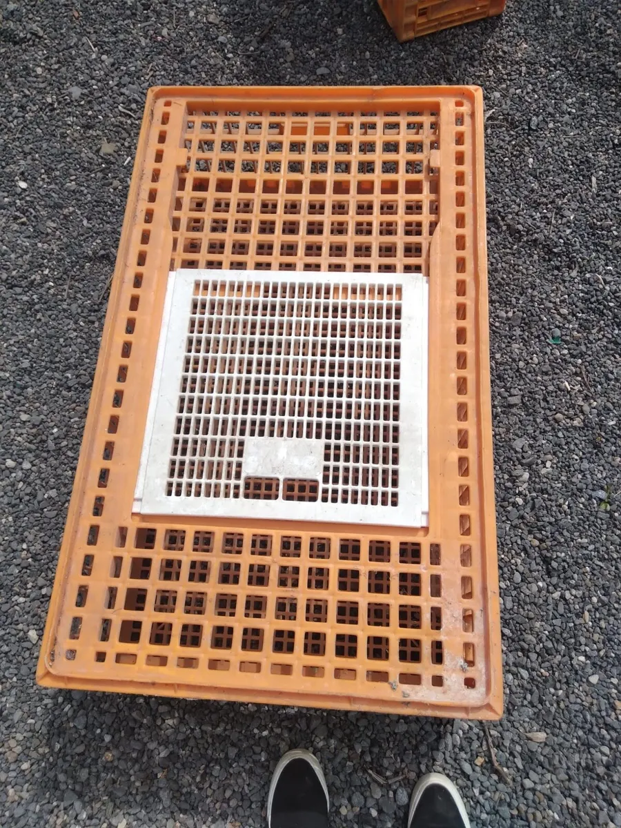 Poultry Crates - Image 1