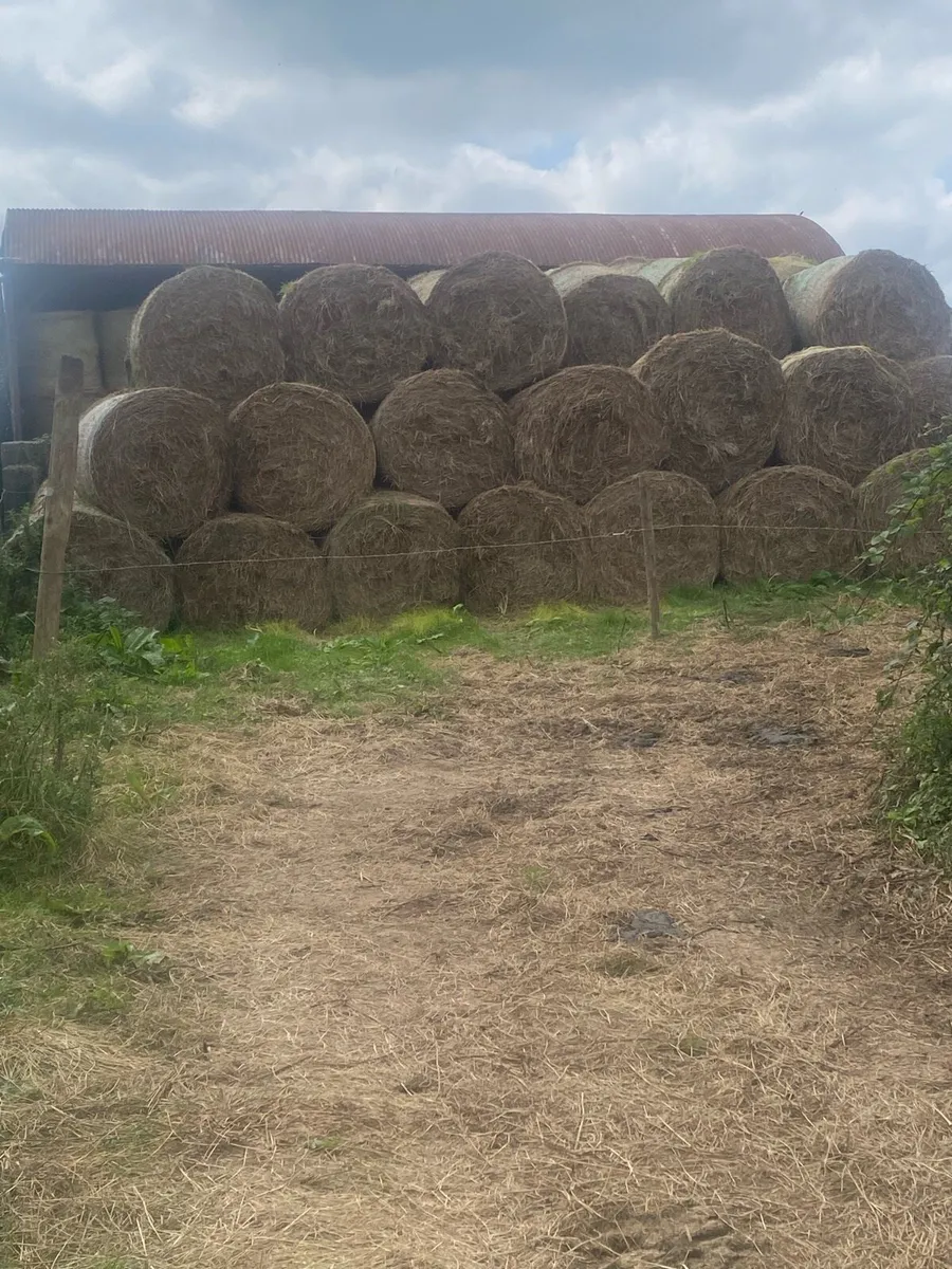 Callow hay suitable for bedding