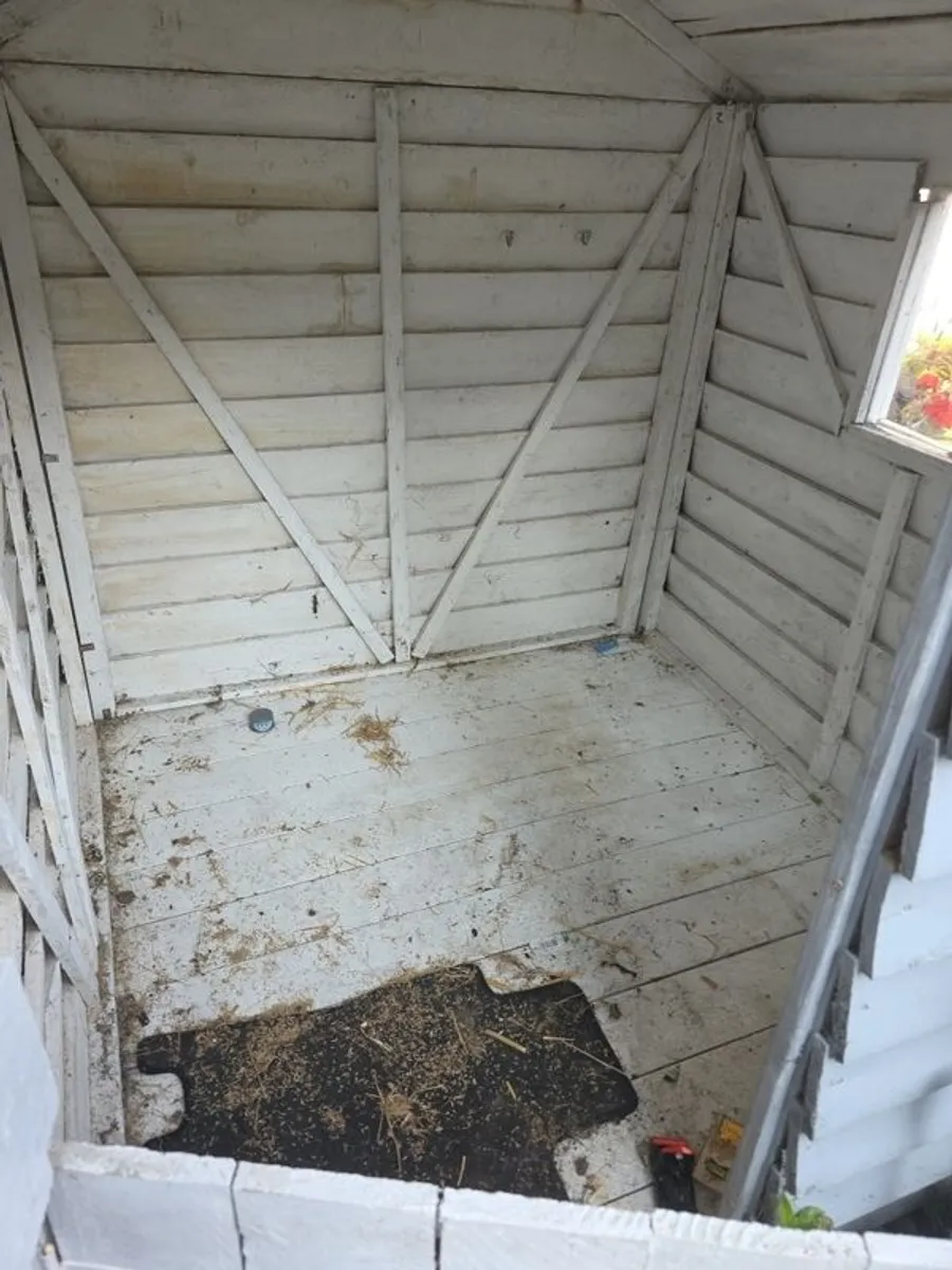 Free Small Shed / Playhouse - Image 3