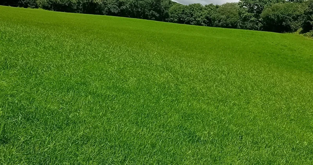 10 Acres Second Silage