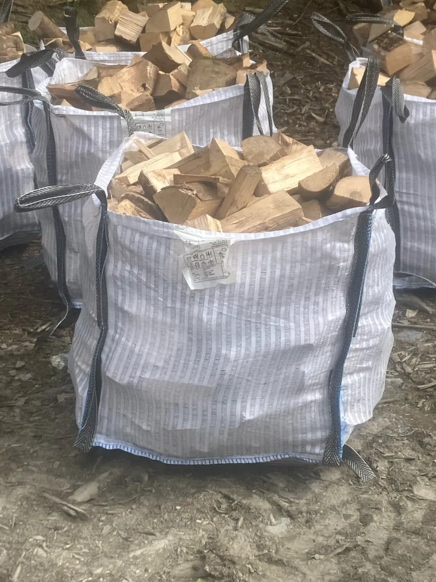 Firewood - Image 3