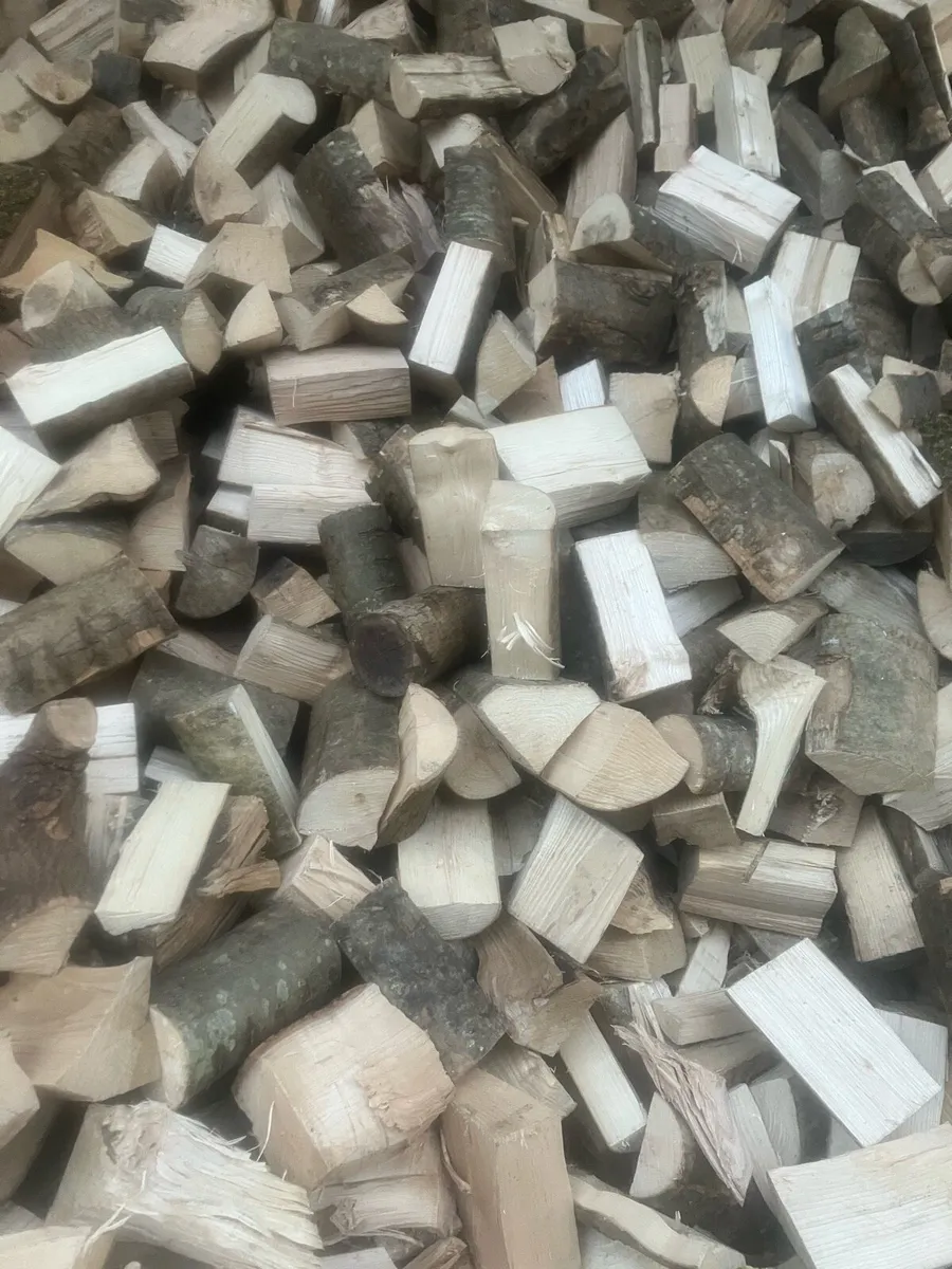 Firewood - Image 4