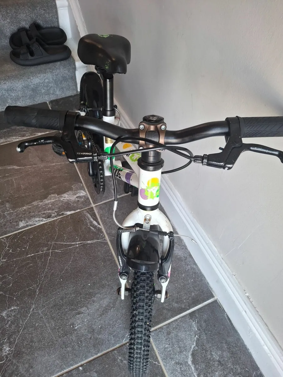 Frog 43 bike - Image 3