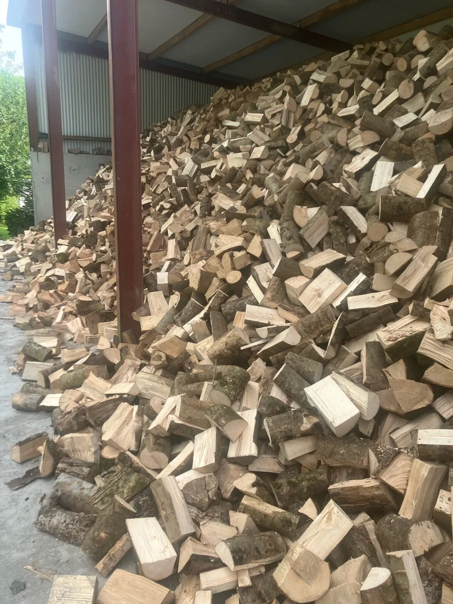 Firewood - Image 2