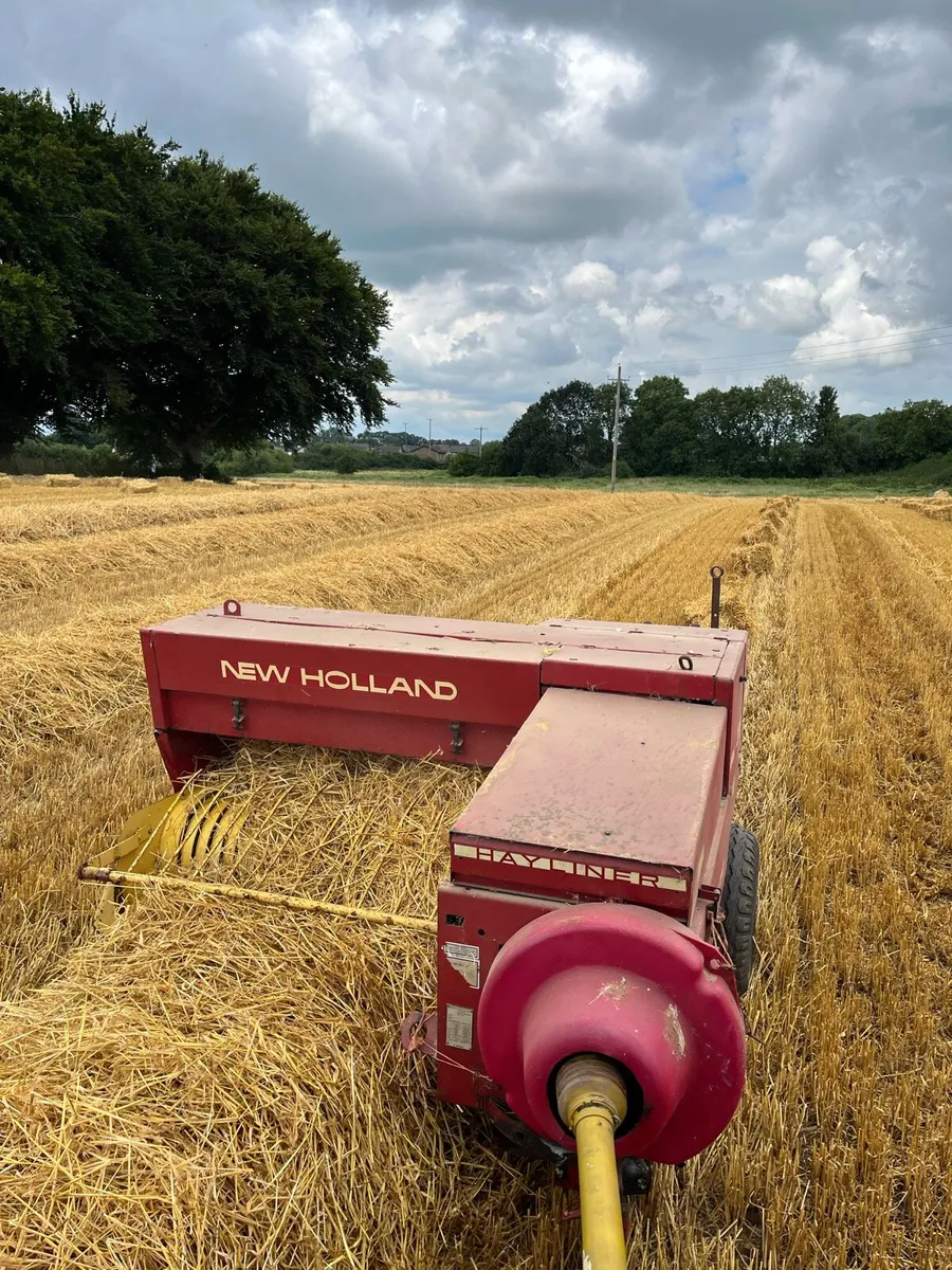 Small square bales of straw - Image 1