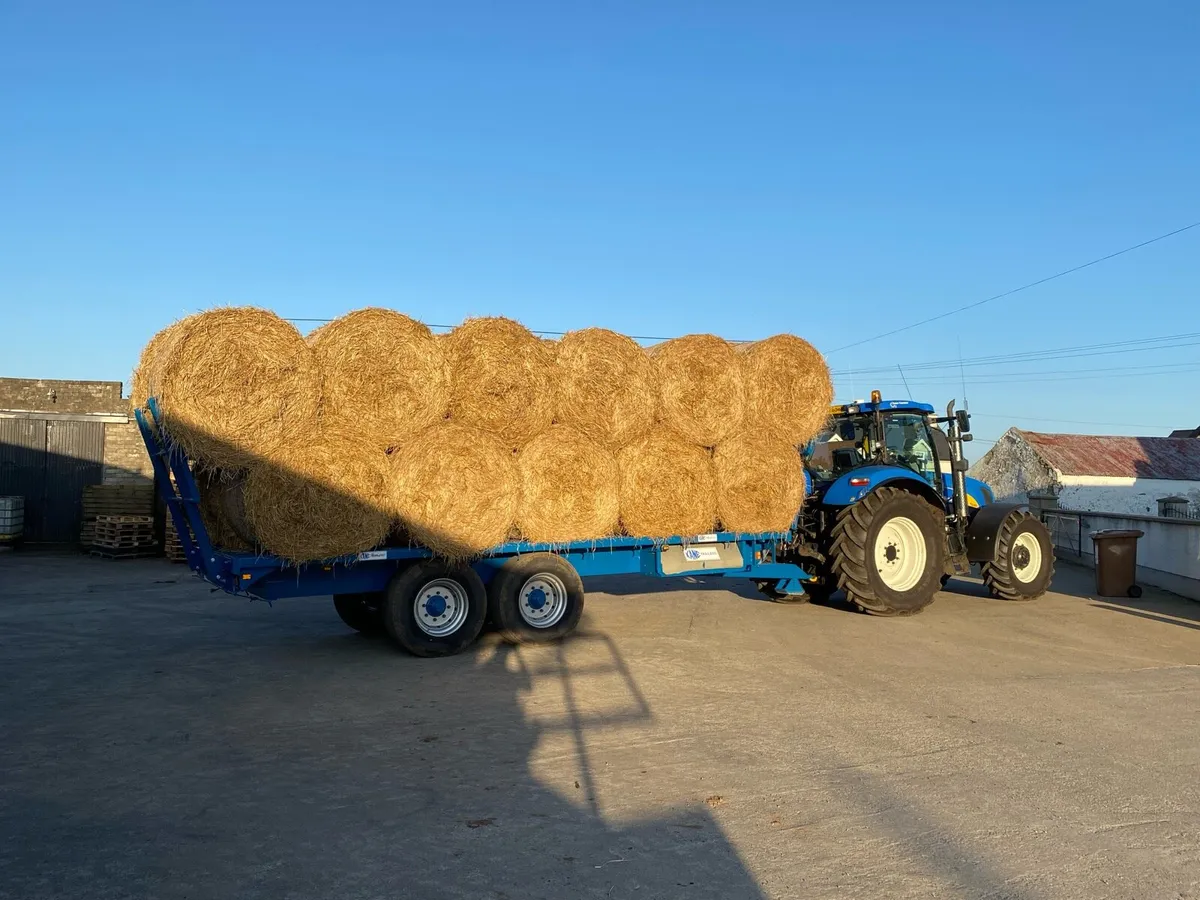 Small square bales of straw - Image 4